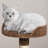 47'' H Cat Tree-12907115