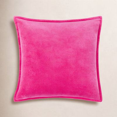 Edgar Pillow Cover