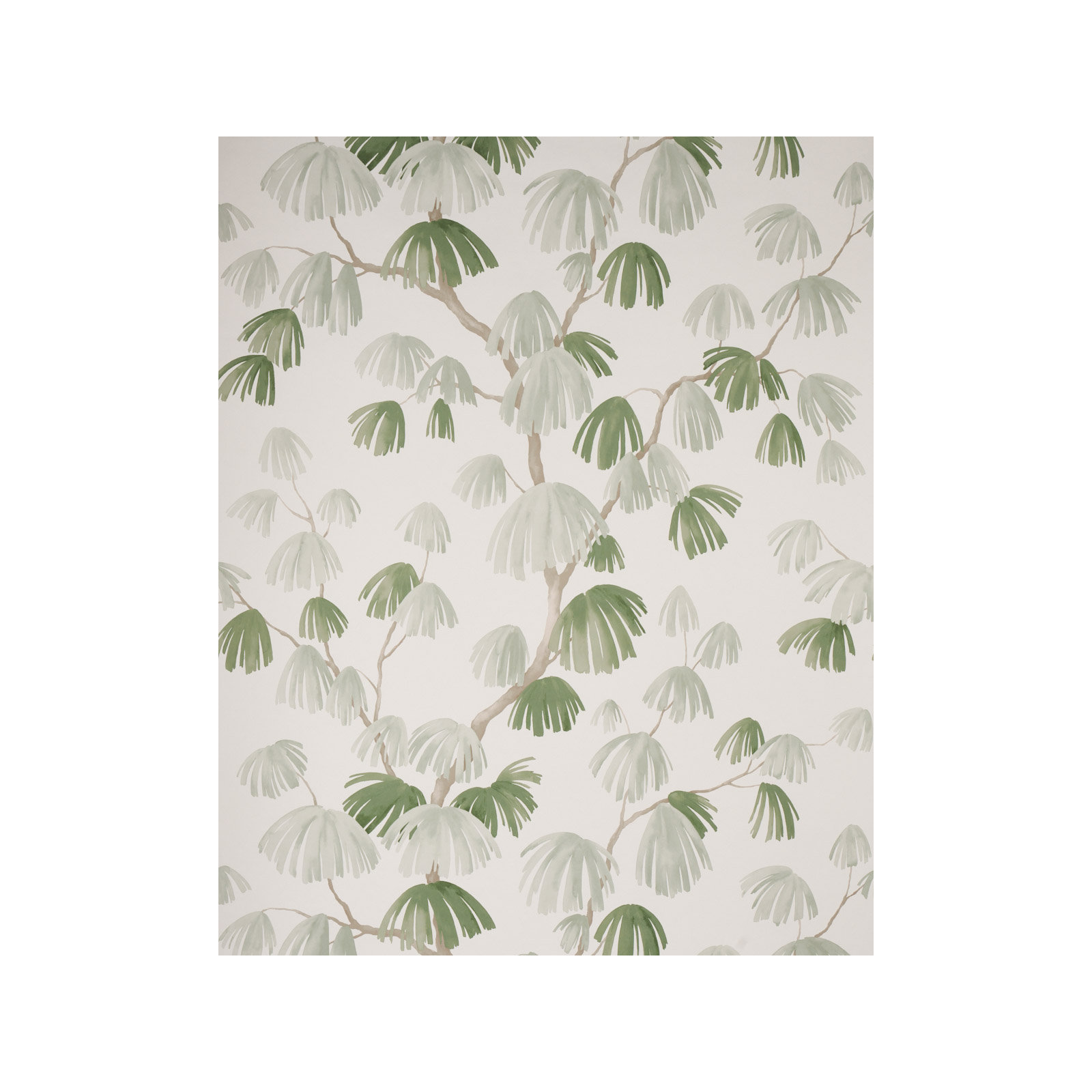 Schumacher x David Kaihoi Weeping Pine Wallpaper, Gray/Green