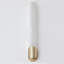 ROME Wall Sconce