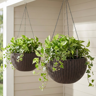Byrum Plastic Wicker Self-Watering Hanging Planter