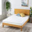 Aerne 15cm Memory Foam Mattress-1261199091