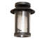 Plafonnier libellule 10 po Fulton