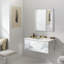 AiO Recessed Frameless Medicine Cabinet with 3 Adjustable Shelves and LED Lighting-343671588-330627842