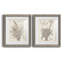 Sépia plantes exotiques III - ensemble de 2 reproductions d'art sur papier encadré-1274381636-1274381658