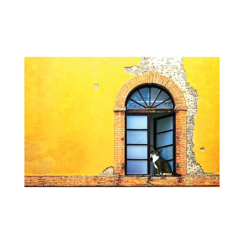 Cat In Window Of Old Building by Susan Richey - Gallery-Wrapped Canvas Giclée on Canvas, Wrapped Canvas