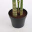 Faux Palm Plant in Pot-67091947