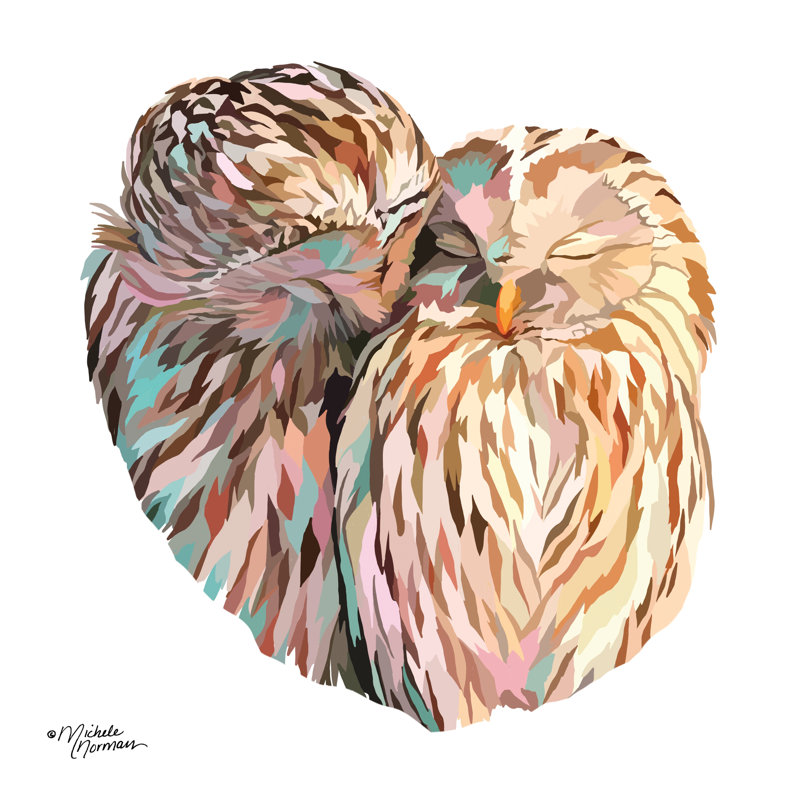 Chouettes par Michele Norman - reproduction, H 20 po x l 20 po, Black Single Picture Framed Paper, Oui