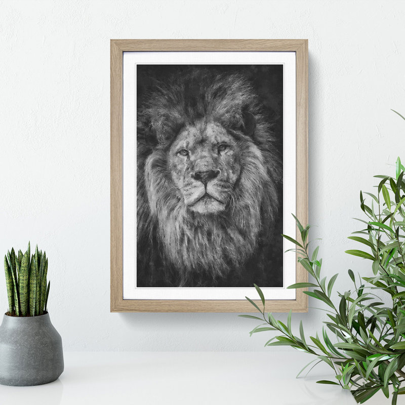 View of a Lion - Framed Print, 36cm H x 27cm W x 2cm D, Oak
