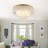 5 Light Dimmable Shell Flush Mount Lighting Fixture With Gold Finsh