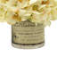 Cream Beige Hydrangea Cluster