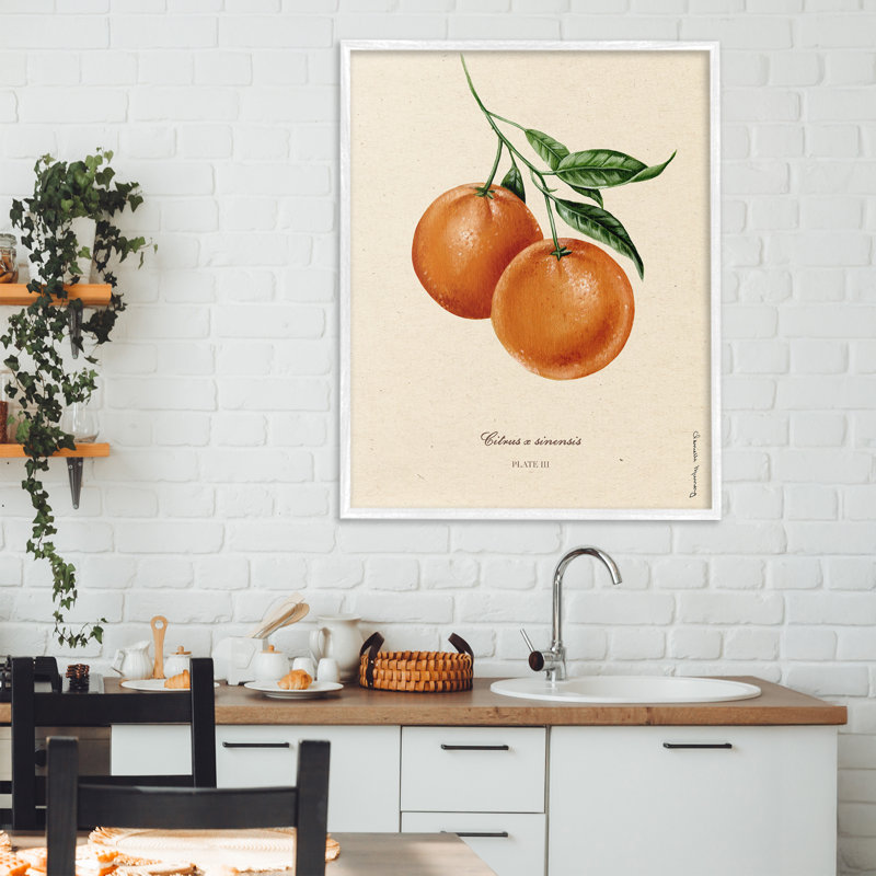«Orange Fruit Portrait», estampe numérique, design par Danielle Murray, Giclée encadrée blanc bord de mer, H 30 po x l 24 po