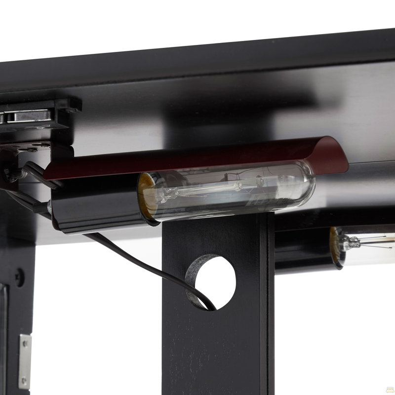 Vitrine lumineuse Curio Cabinet