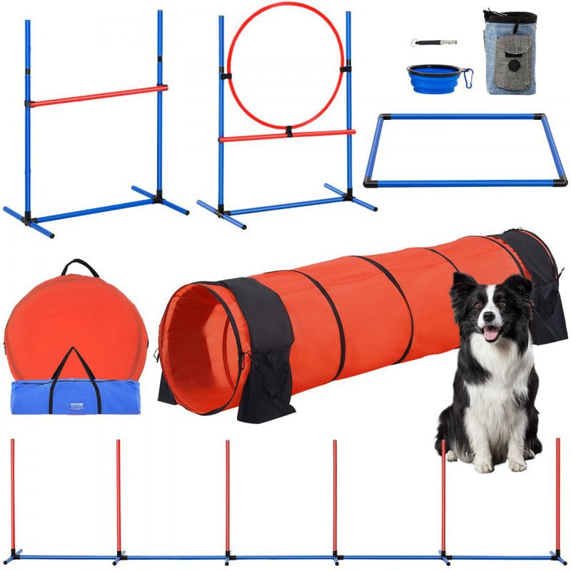 Équipement de dressage d'agilité pour chien 5 PCS