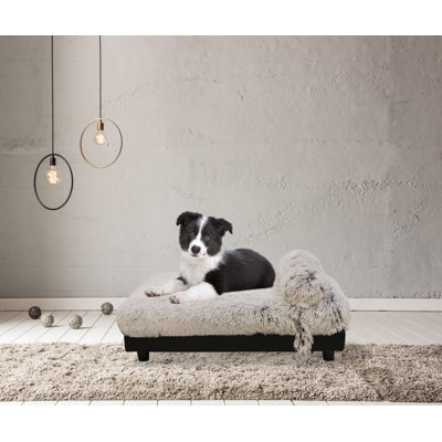 Canapé pour chien Soho