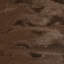 Orca Square Pillow Cover & Insert-948213662