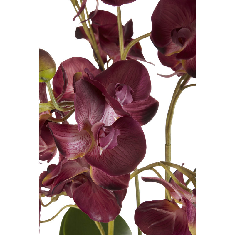 85cm Flowering Plant in Ceramic Pot