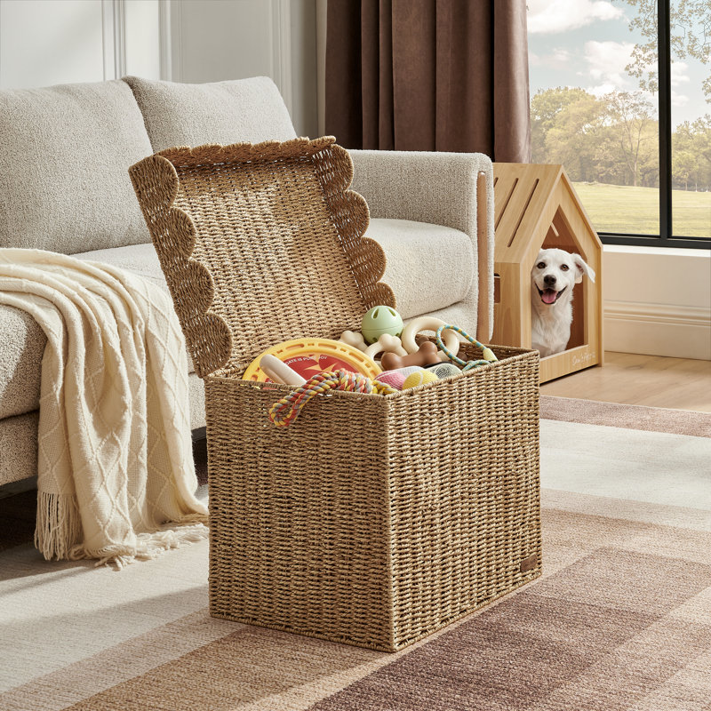 Sam's Pets Nest & Fetch 19in Lidded Wicker Storage Chest