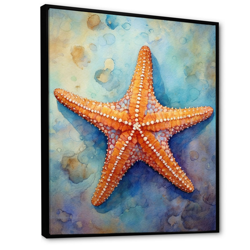 Spinny Starfish II - Starfish, art mural, H 40 po x l 30 po x P 1,5 po, Cadre flottant noir