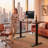 Putnam Height Adjustable Standing Desks-194064654-194064658