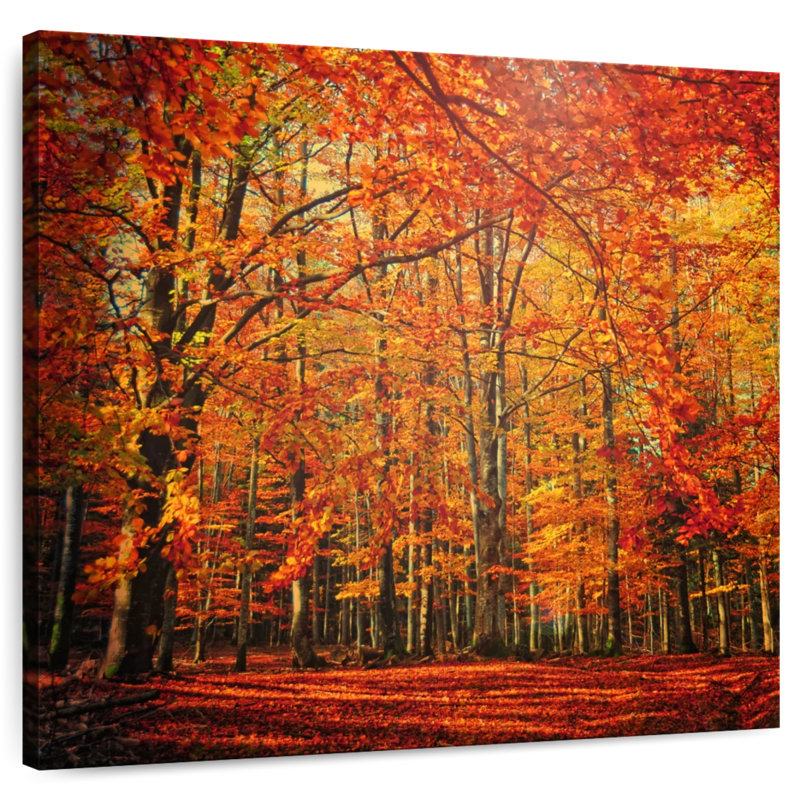 Harnek Stunning Autumn Forest