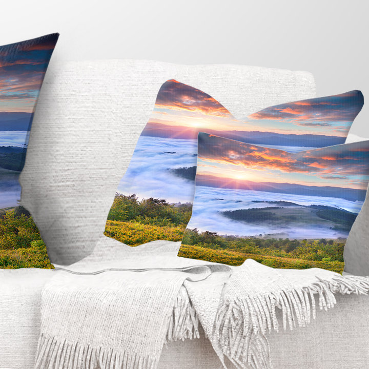 Throw Pillow