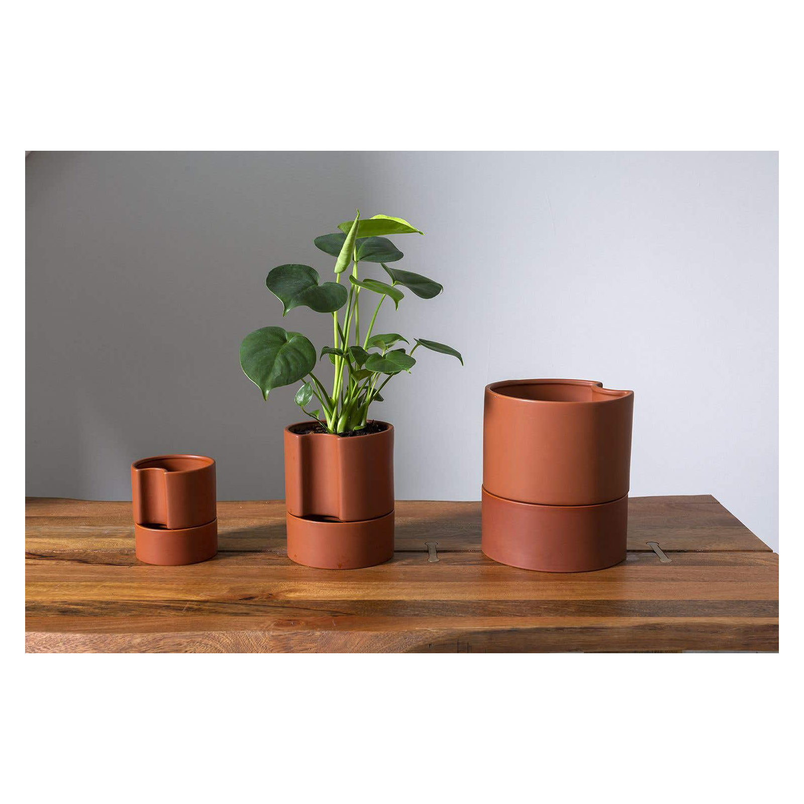 Patti Handmade Ceramic Pot Planter, 9" H x 8" W x 8" D, Terracotta