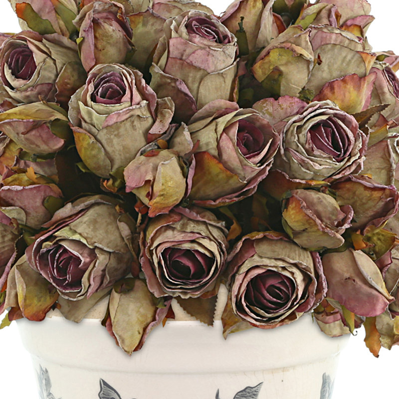 Ensemble de roses séchées dans un pot en céramique, Brun