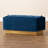 Eldora Velvet Ottoman-300245525