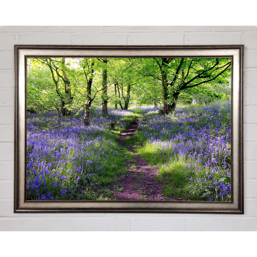 Gerahmtes Poster Path Through The Bluebells