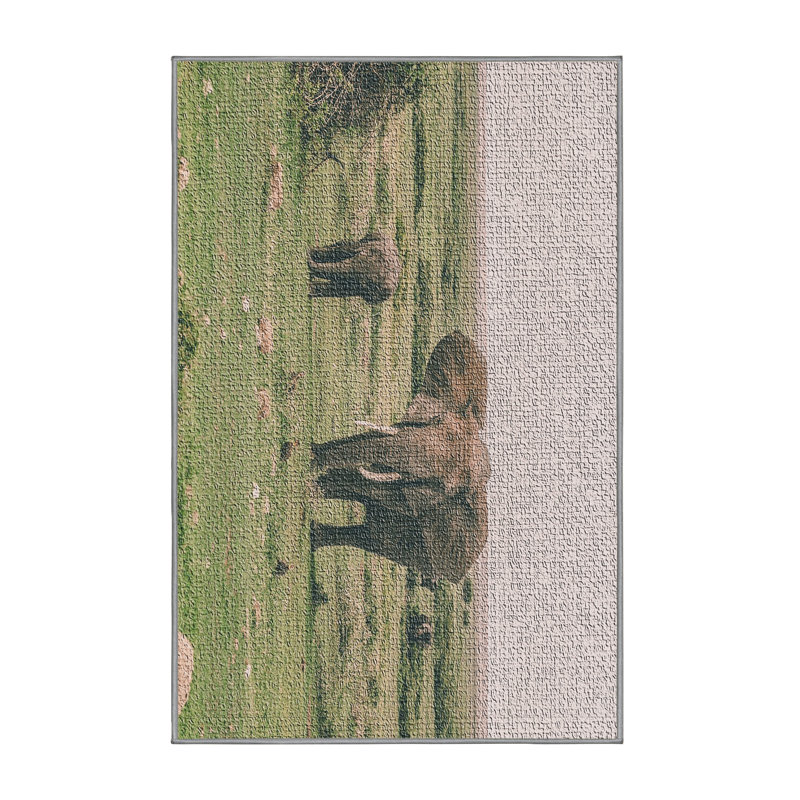 Tapis vert Elephant 8, Rectangle 2 pi x 3 pi