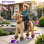 Model E Ride On Horse-90993419-131298418