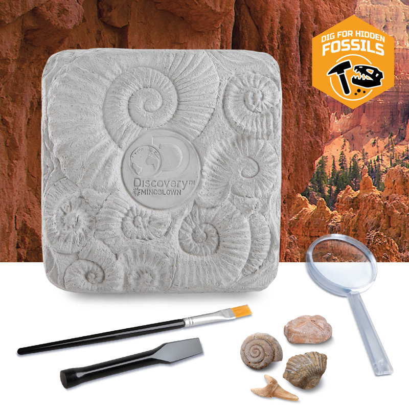 Colossal Fossil Dig