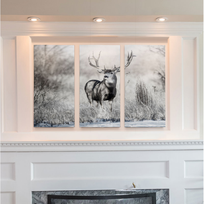 Rocky Mountain Lookout - reproduction de photo sur toile, H 24 po x l 36 po x P 1,5 po
