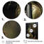 Renaissance Music Violin Melody - musique, art mural-985876608-985876620