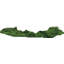 Bonsai Topiary in Wood Planter