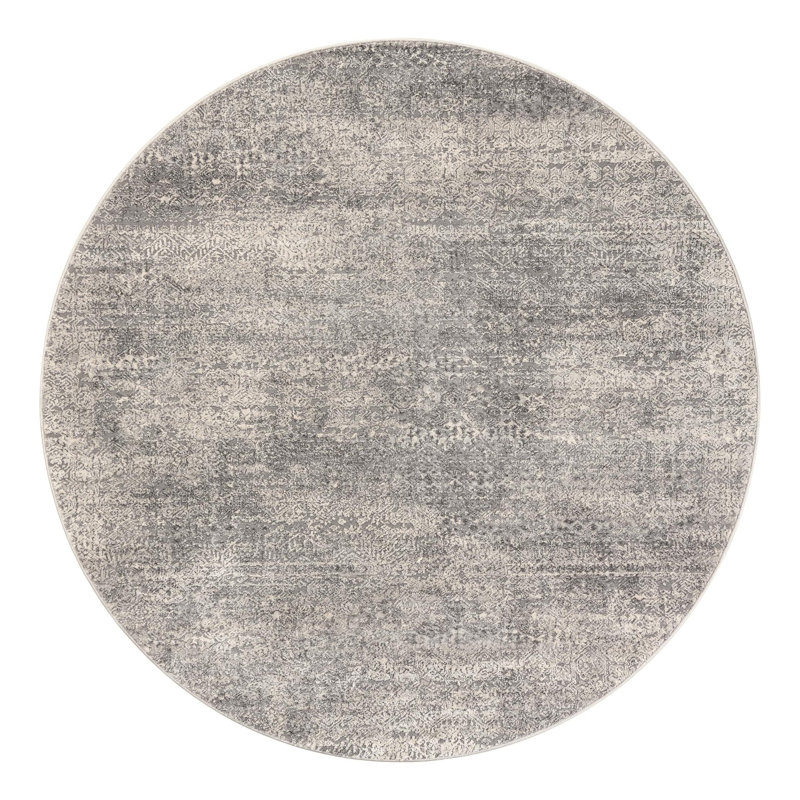 Kater Gray/White Area Rug, Round 3'3"