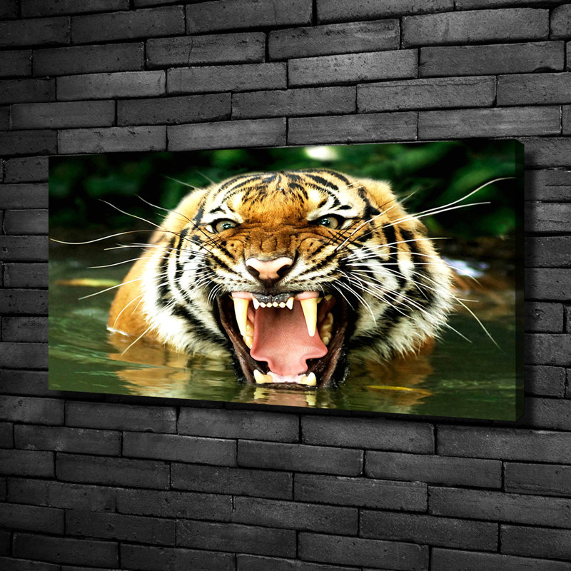 Roaring Tiger - Wrapped Canvas Print, 50cm H x 100cm W