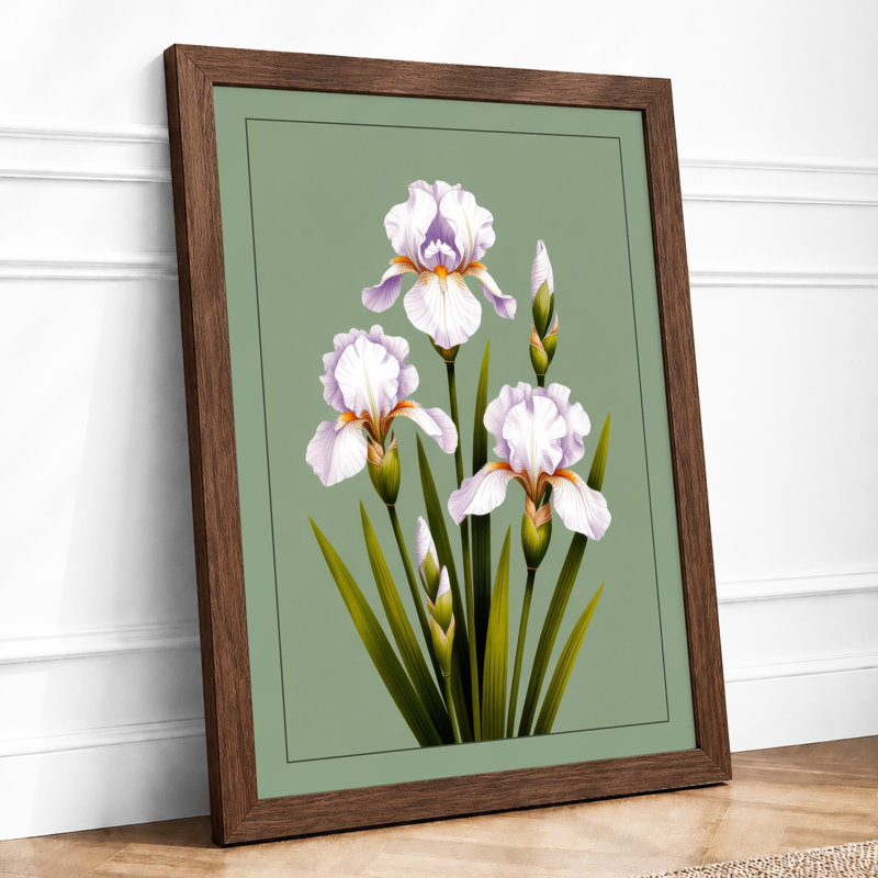 Ruffled Iris Study Botanical - Framed Print, A4 - 29.7 x 21.0 cm, Walnut
