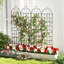 Metal Arched Trellis-114426209