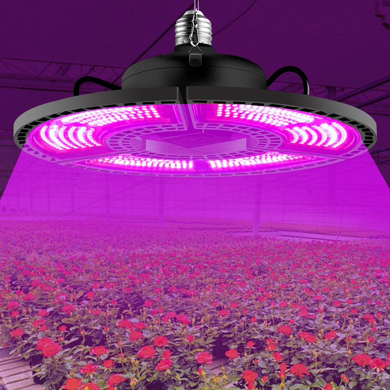 Lumière de croissance 60 watts Zhu