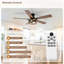 132.08 cm Ceiling Fan with Light Kit