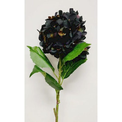 Tige d'hortensia