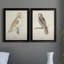 Barn Owl - Ensemble de 2 peintures sur toile encadrées-42979510-42979514