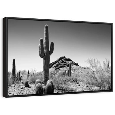 «Arizona noir - Impression perdue dans le désert»