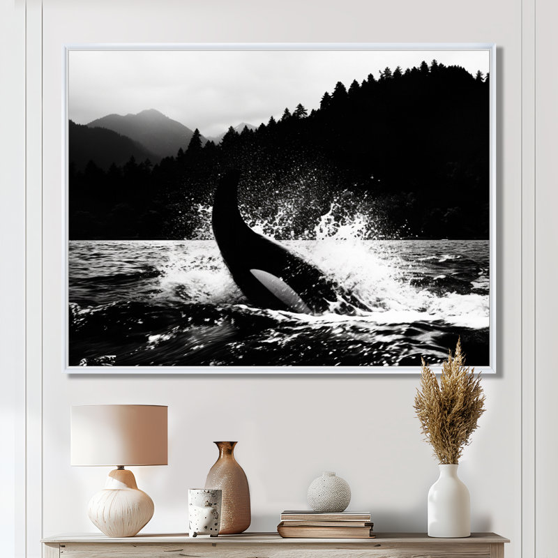Orque éclaboussant dans l'eau, monochrome, décor d'art mural bord de mer, Toile flottante blanche encadrée, H 30 po x l 40 po