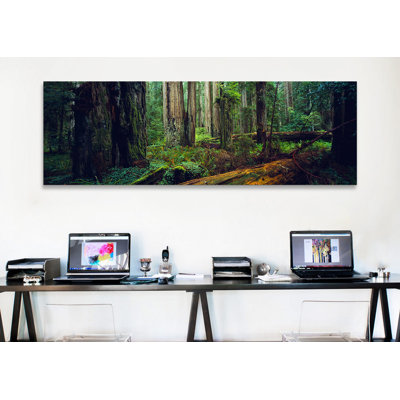 " Trees In A Forest, Hoh Rainforest, Olympic National Park, Washington State, USA " by Panoramic Images