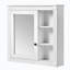 Armoire de rangement murale avec rangement
