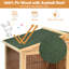 Asilin Chicken Coop