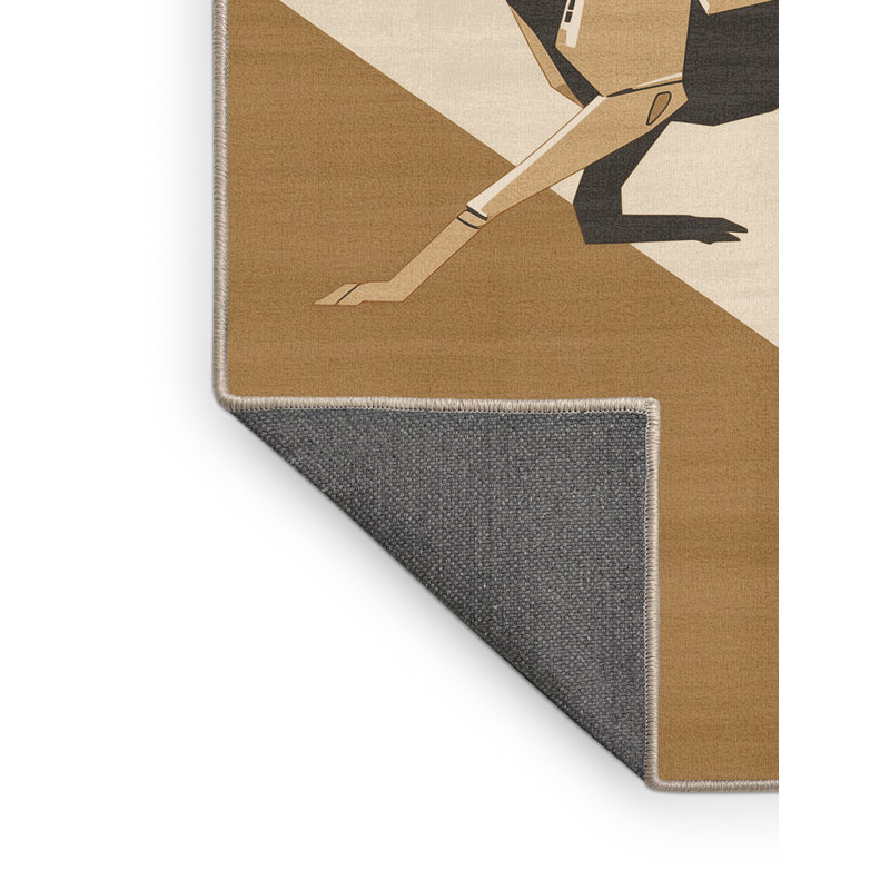 Tapis brun moelleux moelleux et moelleux pour chien, 4 x 2